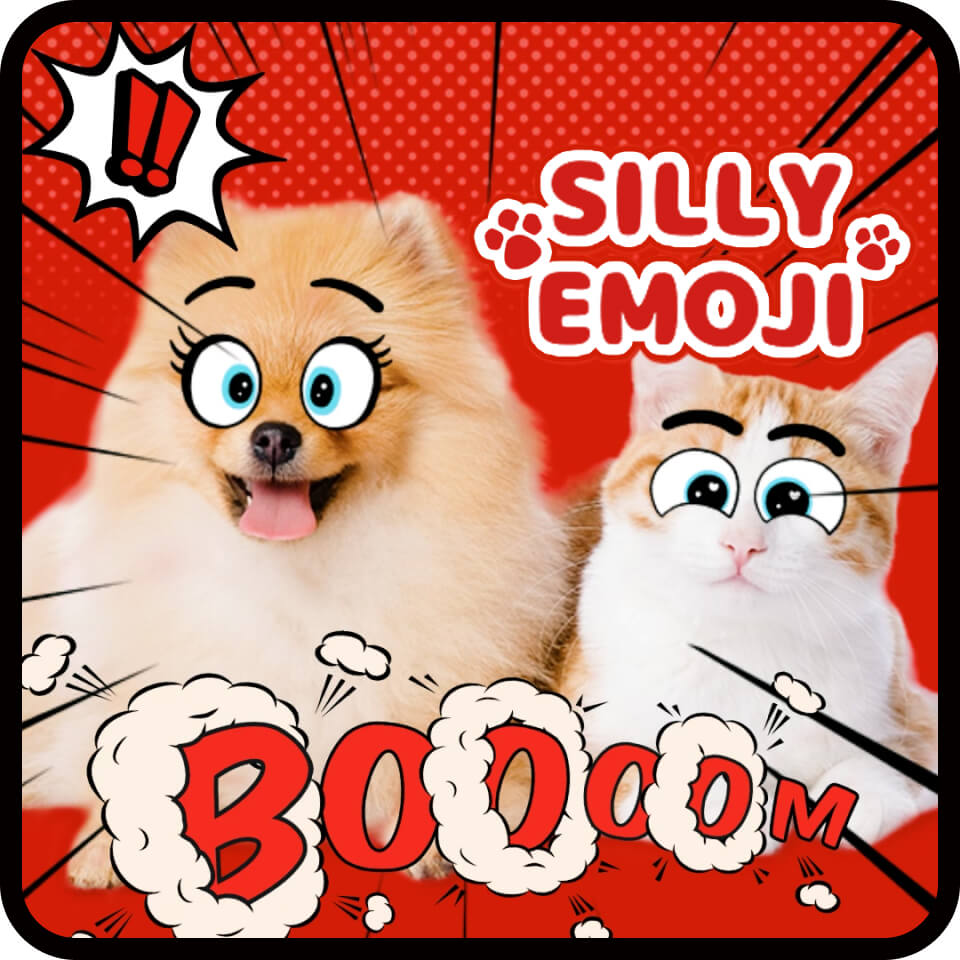 Photo and video templates in BeautyPlus editor