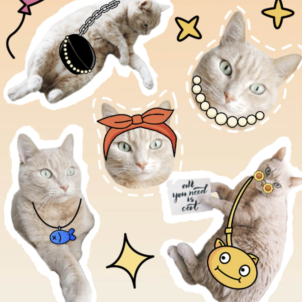 Remove background from photos in BeautyPlus editor before vs after