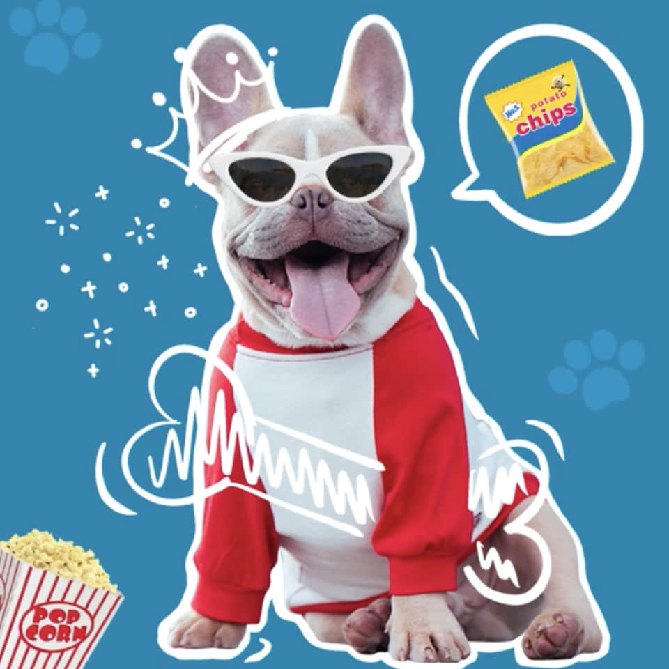 unlimited content and design tools in BeautyPlus