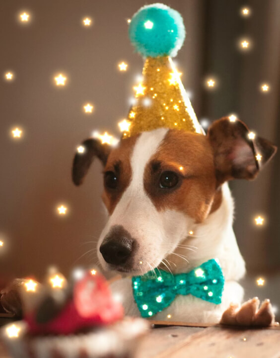 BeautyPlus Photo to Painting