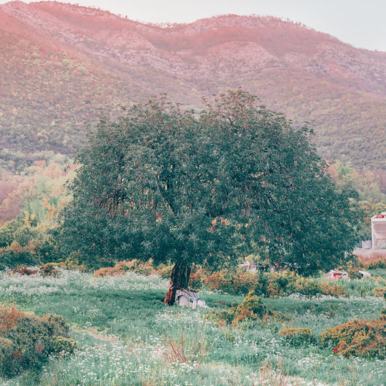 BeautyPlus Photo to Painting